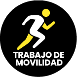 Trabajo de movilidad
